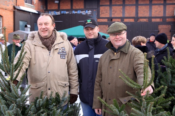 Weihnachtsbaeume   037.jpg